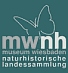 zur MWNH