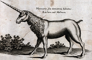 aus Jonston (1650)