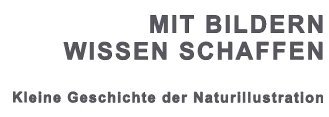 Mit Bildern Wissen schaffen - Kleine Geschichte der Naturillustration
