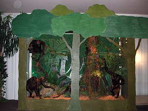 Afrikanischer Regenwald
