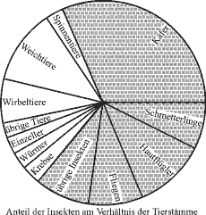 Anteil der Insekten am Verhältnis der Tierstämme